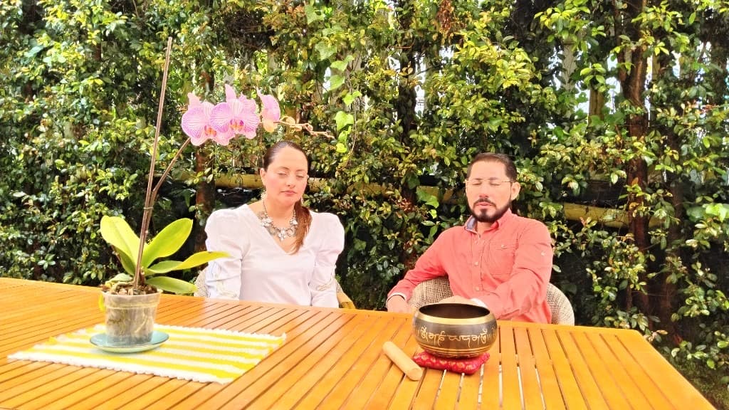 Diplomado en anatomía energética y armonización de chakras